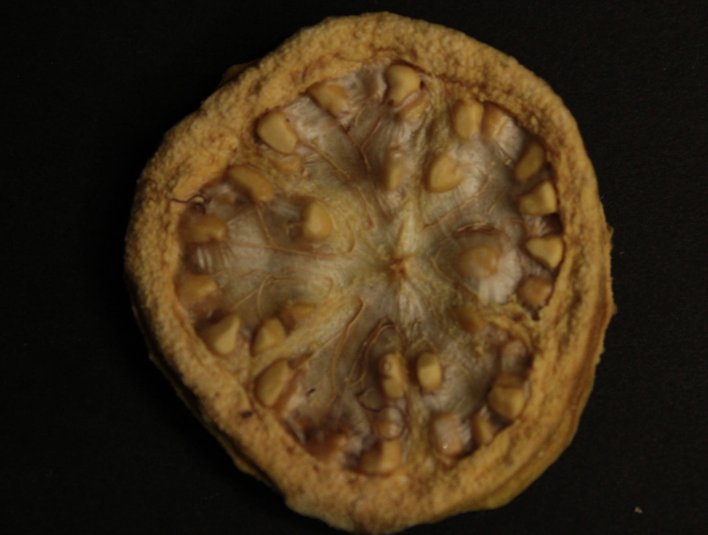 GUAYABA DESHIDRATADA