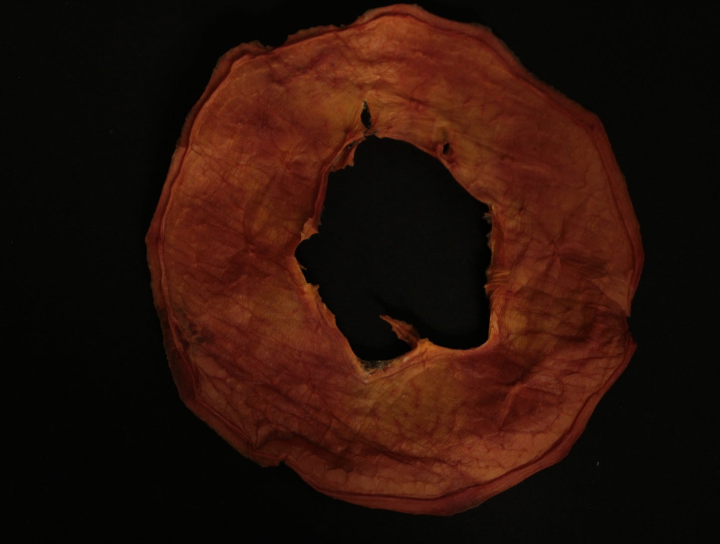 PAPAYA DESHIDRATADA