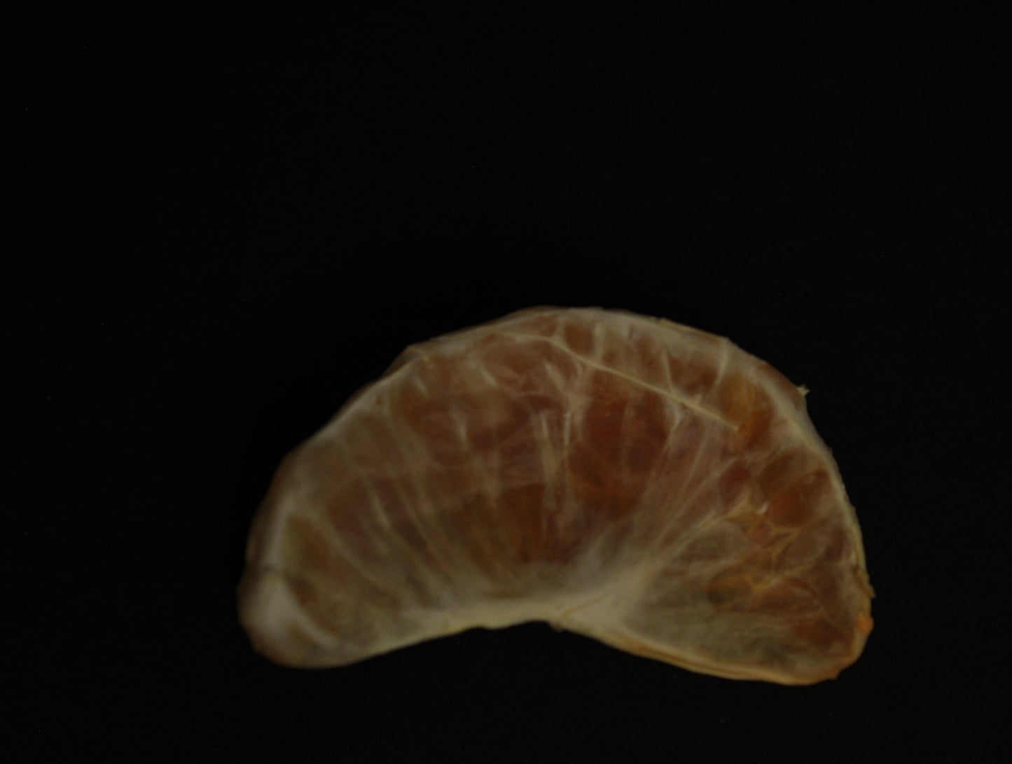 MANDARINA DESHIDRATADA