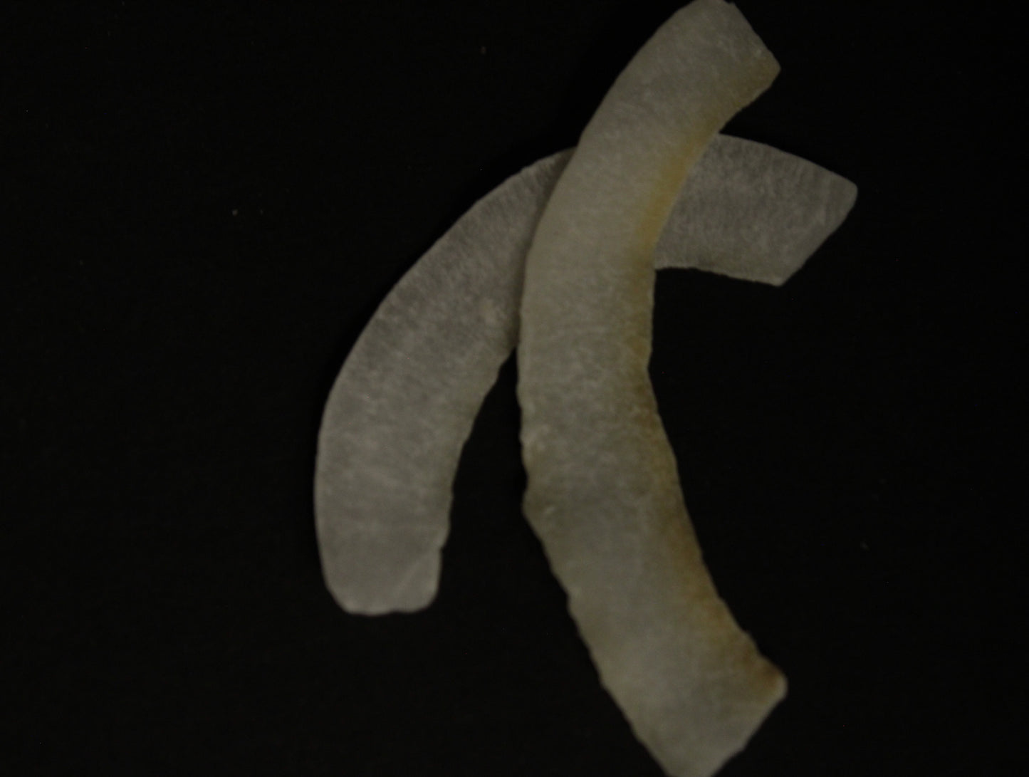 COCO DESHIDRATADO