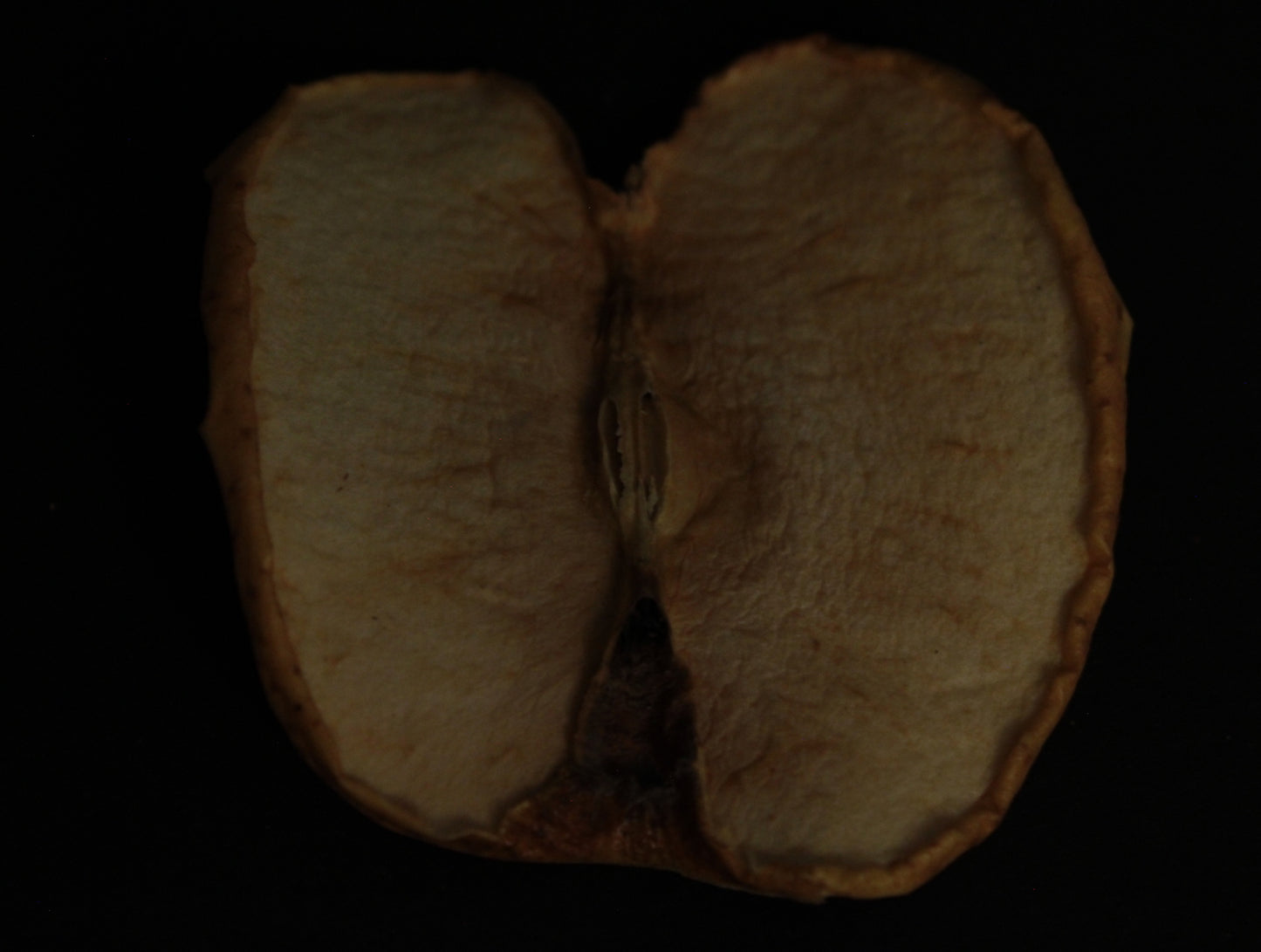 MANZANA DESHIDRATADA